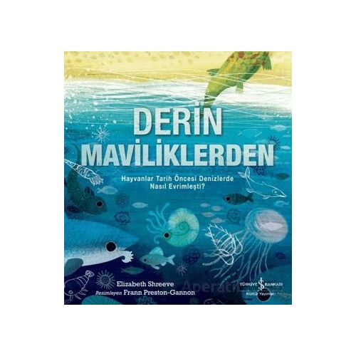 Derin Maviliklerden - Elizabeth Shreeve - İş Bankası Kültür Yayınları