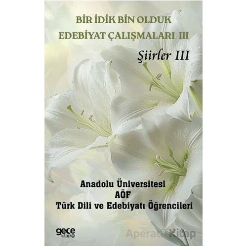 Bir İdik Bin Olduk Edebiyat Çalışmaları III - Şiirler III - Kolektif - Gece Kitaplığı