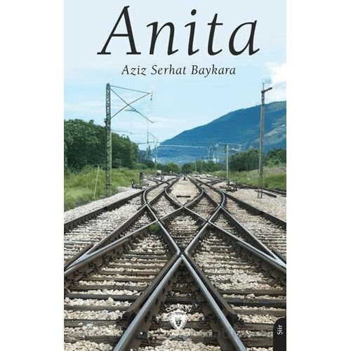 Anita - Aziz Serhat Baykara - Dorlion Yayınları