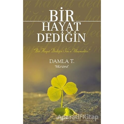 Bir Hayat Dediğin - Damla T. - Sokak Kitapları Yayınları