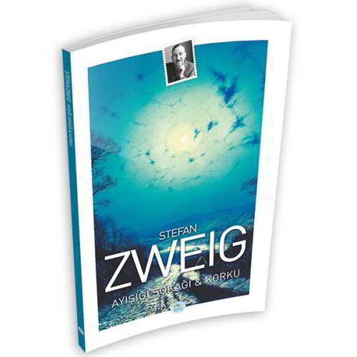 Ayışığı Sokağı ve Korku - Stefan Zweig - Maviçatı Yayınları