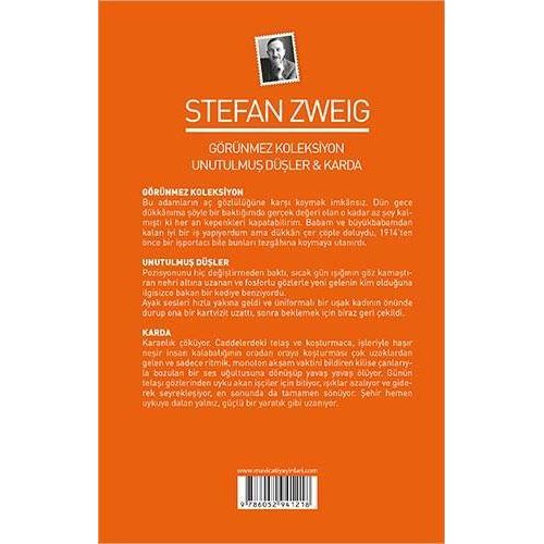Görünmez Koleksiyon - Stefan Zweig - Maviçatı Yayınları