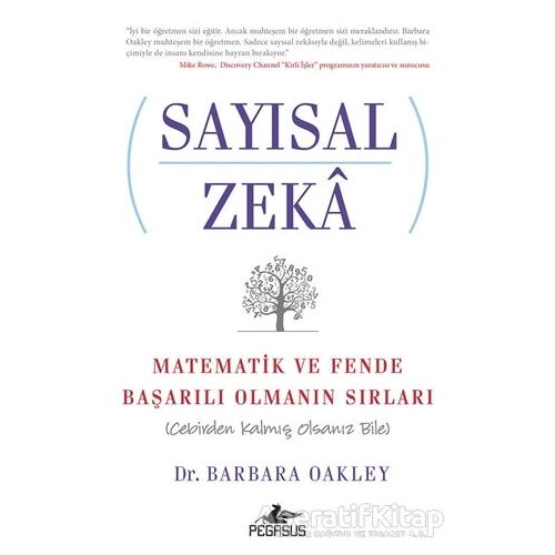 Sayısal Zeka: Matematik ve Fende Başarılı Olmanın Sırları (Cebirden Kalmış Olsanız Bile)