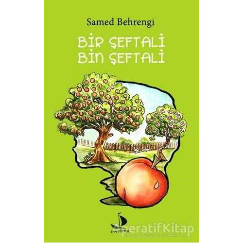 Bir Şeftali Bin Şeftali - Samed Behrengi - Destek Yayınları