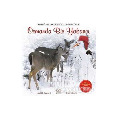 Ormanda Bir Yabancı - Carl R. Sams II - 1001 Çiçek Kitaplar