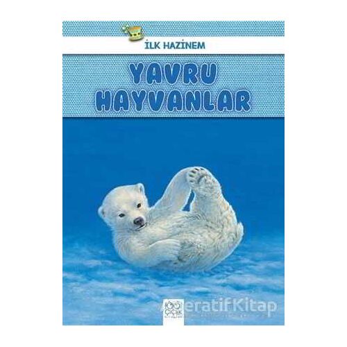 Yavru Hayvanlar - İlk Hazinem - Denise Ryan - 1001 Çiçek Kitaplar