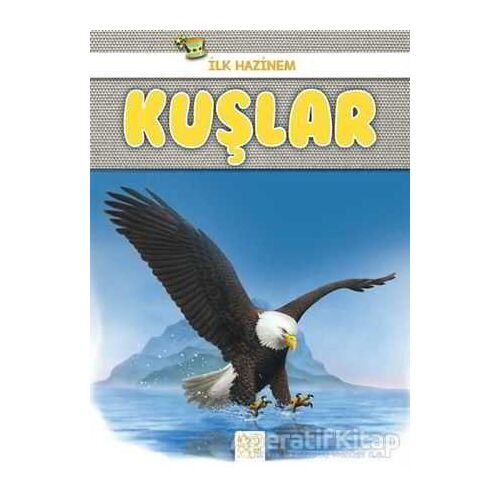 Kuşlar - İlk Hazinem - Denise Ryan - 1001 Çiçek Kitaplar