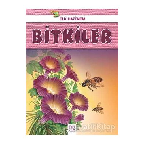 Bitkiler - İlk Hazinem - Denise Ryan - 1001 Çiçek Kitaplar