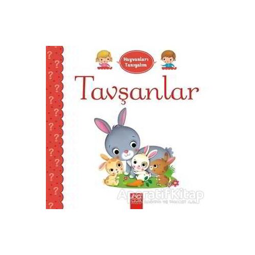 Hayvanları Tanıyalım - Tavşanlar - Emilie Belineau - 1001 Çiçek Kitaplar
