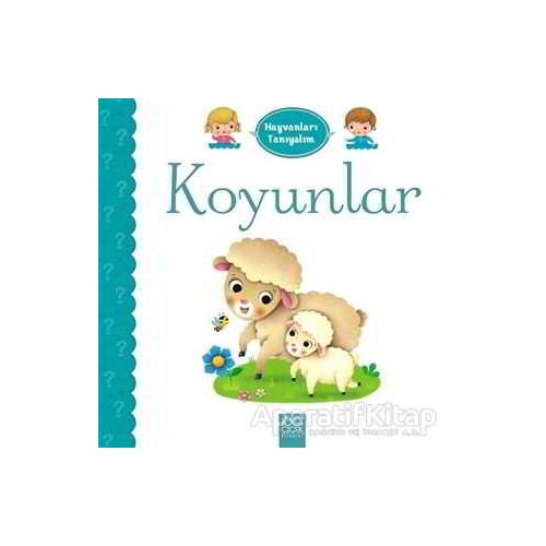 Hayvanları Tanıyalım - Koyunlar - Emilie Belineau - 1001 Çiçek Kitaplar