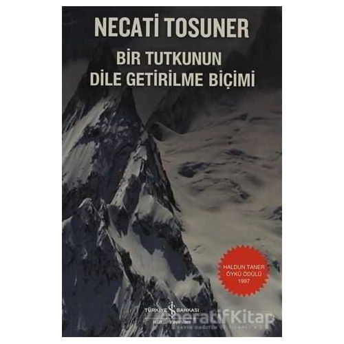 Bir Tutkunun Dile Getirilme Biçimi - Necati Tosuner - İş Bankası Kültür Yayınları