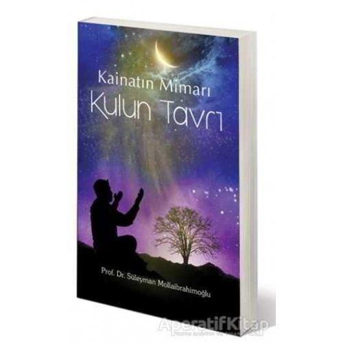 Kainatın Mimarı Kulun Tavrı - Süleyman Mollaibrahimoğlu - Damla Yayınevi