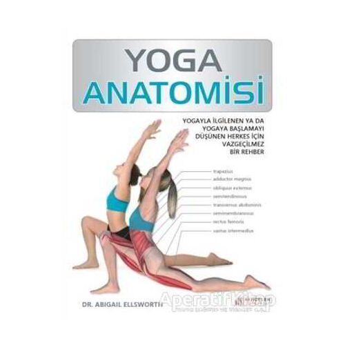 Yoga Anatomisi - Abigail Ellsworth - Akıl Çelen Kitaplar