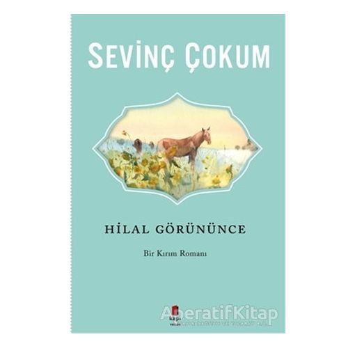 Hilal Görününce - Sevinç Çokum - Kapı Yayınları