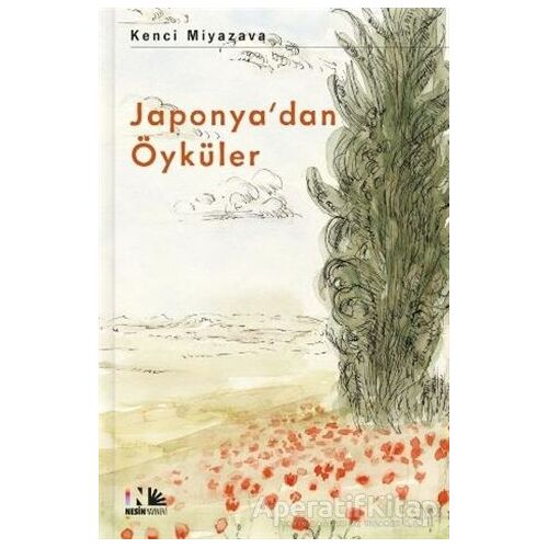 Japonya’dan Öyküler - Kenci Miyazava - Nesin Yayınevi