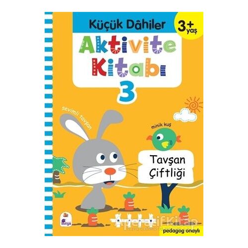 Küçük Dahiler Aktivite Kitabı 3 (3+ Yaş) - Ayça G. Derin - İndigo Çocuk