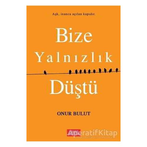 Bize Yalnızlık Düştü - Onur Bulut - Libros Yayınları