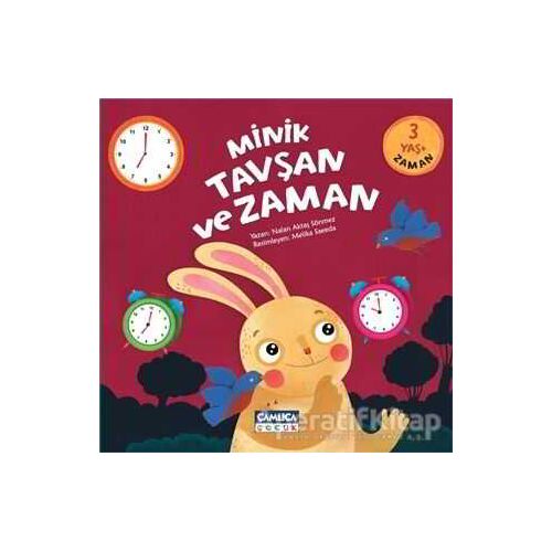 Minik Tavşan ve Zaman - Nalan Aktaş Sönmez - Çamlıca Çocuk Yayınları