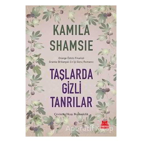 Taşlarda Gizli Tanrılar - Kamila Shamsie - Kırmızı Kedi Yayınevi