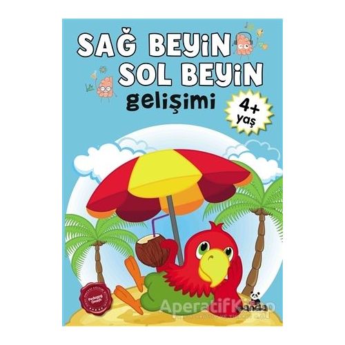Sağ Beyin - Sol Beyin Gelişimi +4 Yaş - Kolektif - Beyaz Panda Yayınları