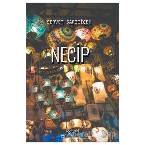 Necip - Servet Sarıçiçek - Cinius Yayınları