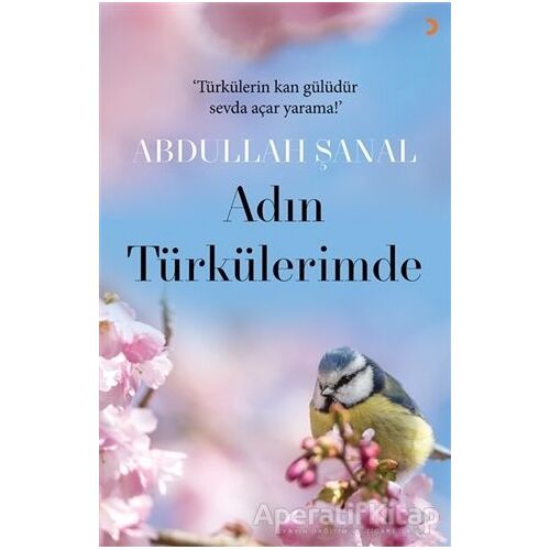 Adın Türkülerimde - Abdullah Şanal - Cinius Yayınları