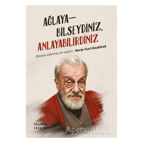 Ağlayabilseydiniz, Anlayabilirdiniz - Kolektif - Hayykitap