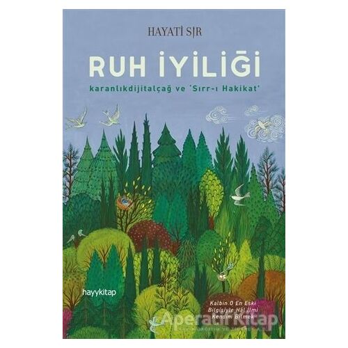 Ruh İyiliği - Hayati Sır - Hayykitap