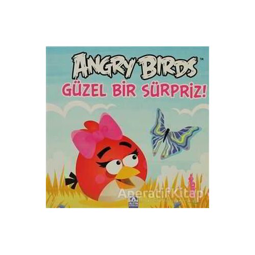 Angry Birds - Güzel Bir Sürpriz! - Kolektif - Altın Kitaplar