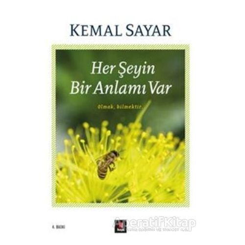 Her Şeyin Bir Anlamı Var - Kemal Sayar - Kapı Yayınları