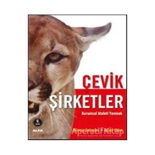 Çevik Şirketler - Alper Utku - Alfa Yayınları