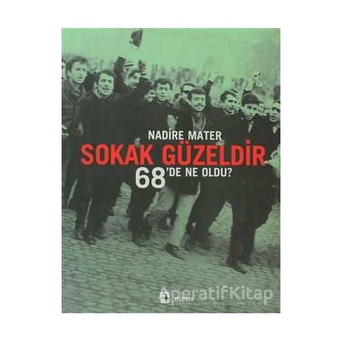 Sokak Güzeldir - Nadire Mater - Metis Yayınları