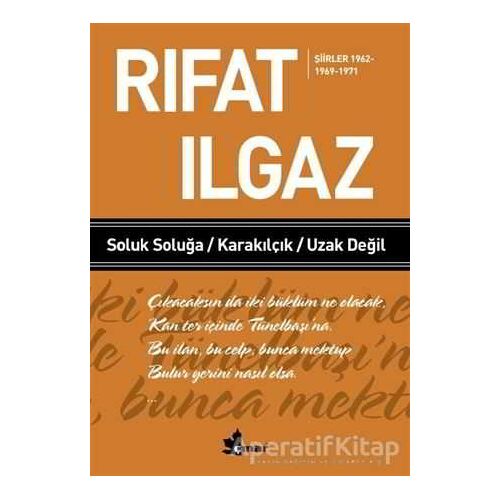 Soluk Soluğa Karakılçık Uzak Değil - Şiirler 1962-1969-1971 - Rıfat Ilgaz - Çınar Yayınları