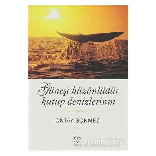 Güneşi Hüzünlüdür Kutup Denizlerinin - Oktay Sönmez - Varlık Yayınları