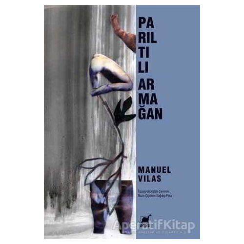 Parıltılı Armağan - Manuel Vilas - Ayrıntı Yayınları