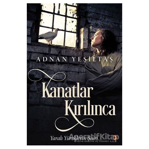 Kanatlar Kırılınca - Adnan Yeşiltaş - Cinius Yayınları