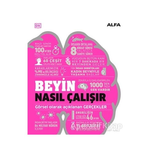 Beyin Nasıl Çalışır - Kolektif - Alfa Yayınları