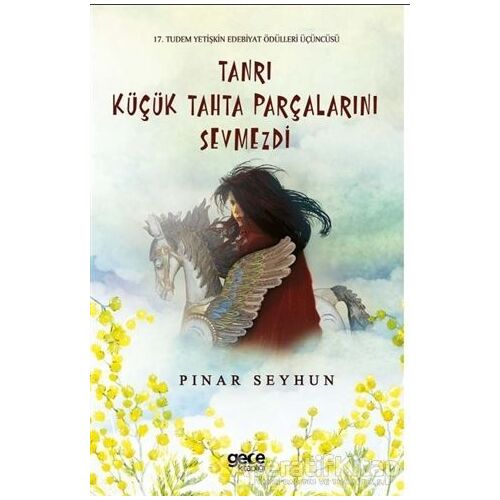 Tanrı Küçük Tahta Parçalarını Sevmezdi - Pınar Seyhun - Gece Kitaplığı