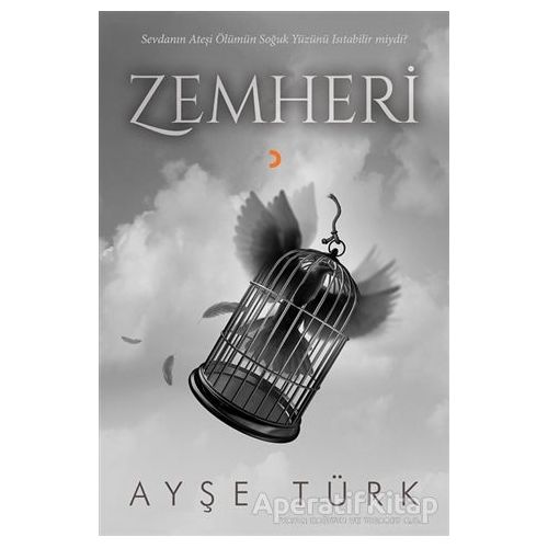 Zemheri - Ayşe Türk - Cinius Yayınları