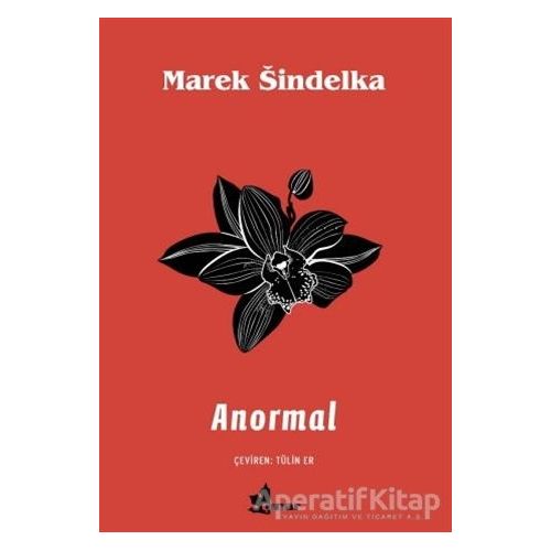 Anormal - Marek Sindelka - Çınar Yayınları