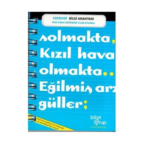 Edebiyat Bilgi Anahtarı Cep Kitabı Bilgi Grup Yayınları