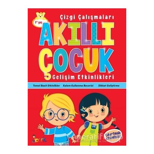 Çizgi Çalışmaları - Akıllı Çocuk - Kolektif - Bıcırık Yayınları