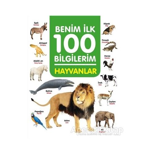 Hayvanlar - Benim İlk 100 Bilgilerim - Ahmet Altay - 0-6 Yaş Yayınları