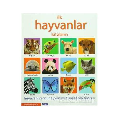 İlk Hayvanlar Kitabım - Kolektif - Parıltı Yayınları