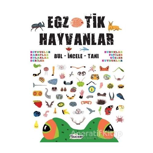 Egzotik Hayvanlar - Kolektif - Teleskop Popüler Bilim