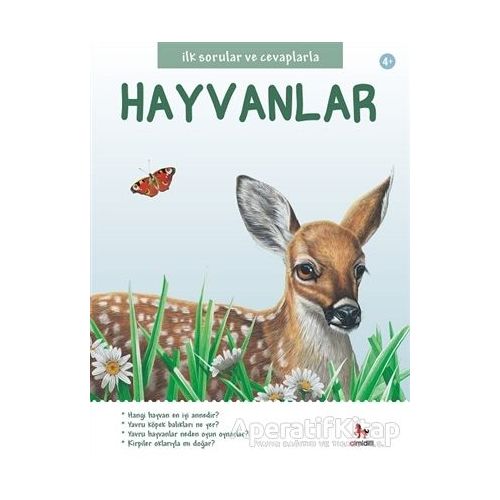 İlk Sorular ve Cevaplarla Hayvanlar - Jinny Johnson - Almidilli