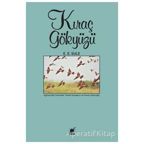 Kıraç Gökyüzü - E. E. Sule - Ayrıntı Yayınları