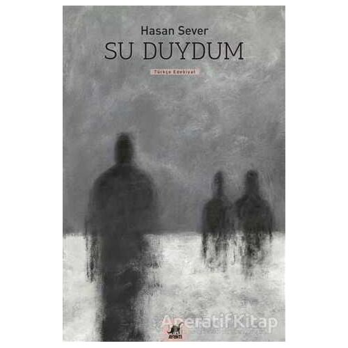Su Duydum - Hasan Sever - Ayrıntı Yayınları