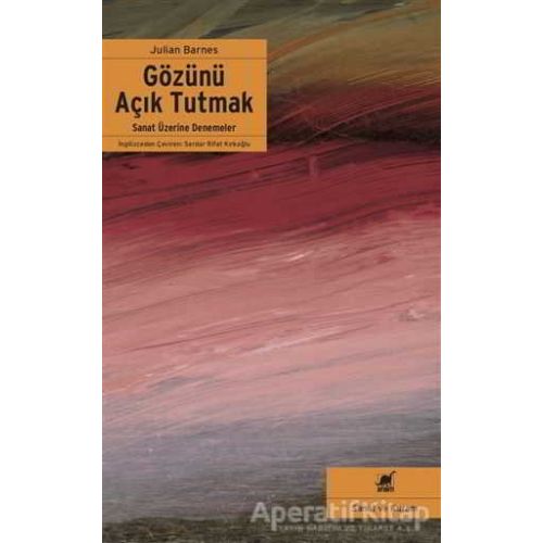 Gözünü Açık Tutmak - Julian Barnes - Ayrıntı Yayınları