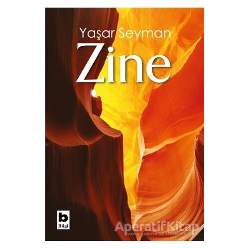 Zine - Yaşar Seyman - Bilgi Yayınevi